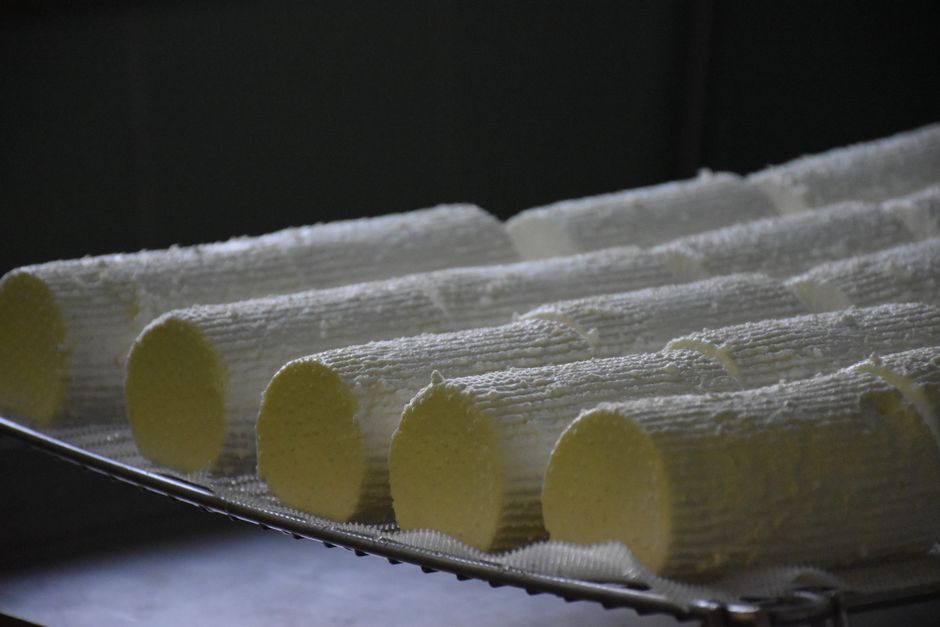 Queso artesanal de leche cruda francés cortado en cuñas, mostrando su textura característica