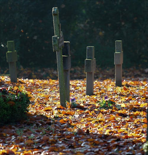 Free Autumn Leaves on Graveyard Stock Photo