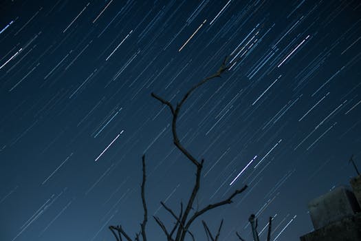 Long exposure star trails create a dramatic effect over silhouetted trees at night.