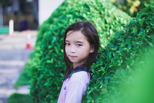 Free Portrait of a smiling Asian girl standing next to a lush green hedge outdoors. Stock Photo
