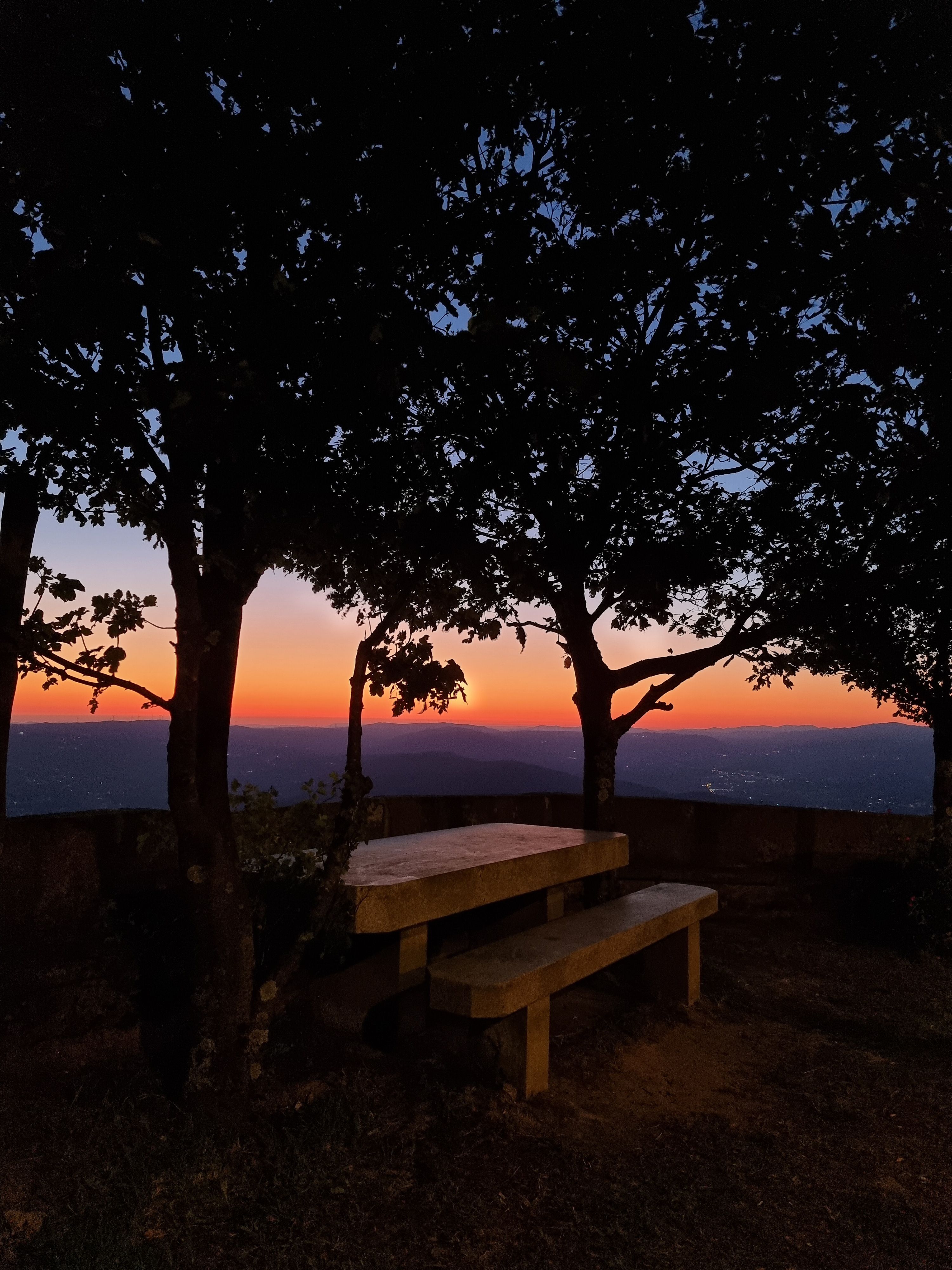 Silhouetted trees and benches against a vibrant sunset sky create a serene outdoor scene.