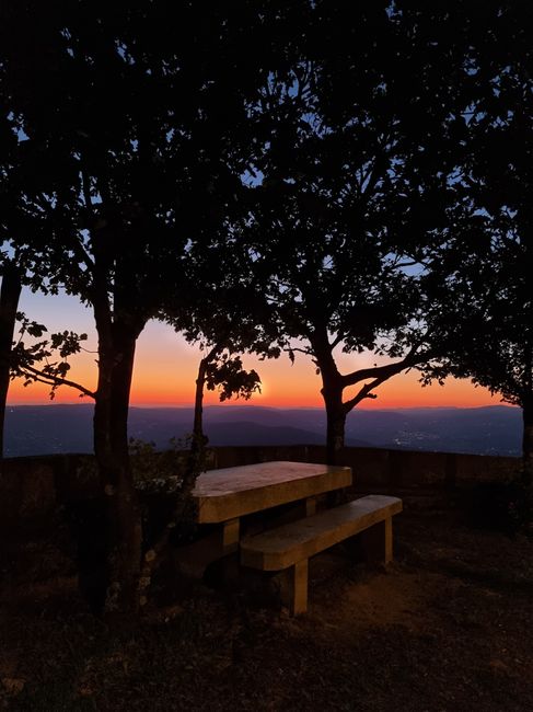 Silhouetted trees and benches against a vibrant sunset sky create a serene outdoor scene.