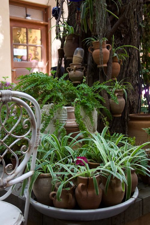 Free Lush indoor garden with various plants in rustic clay pots, creating a cozy atmosphere. Stock Photo