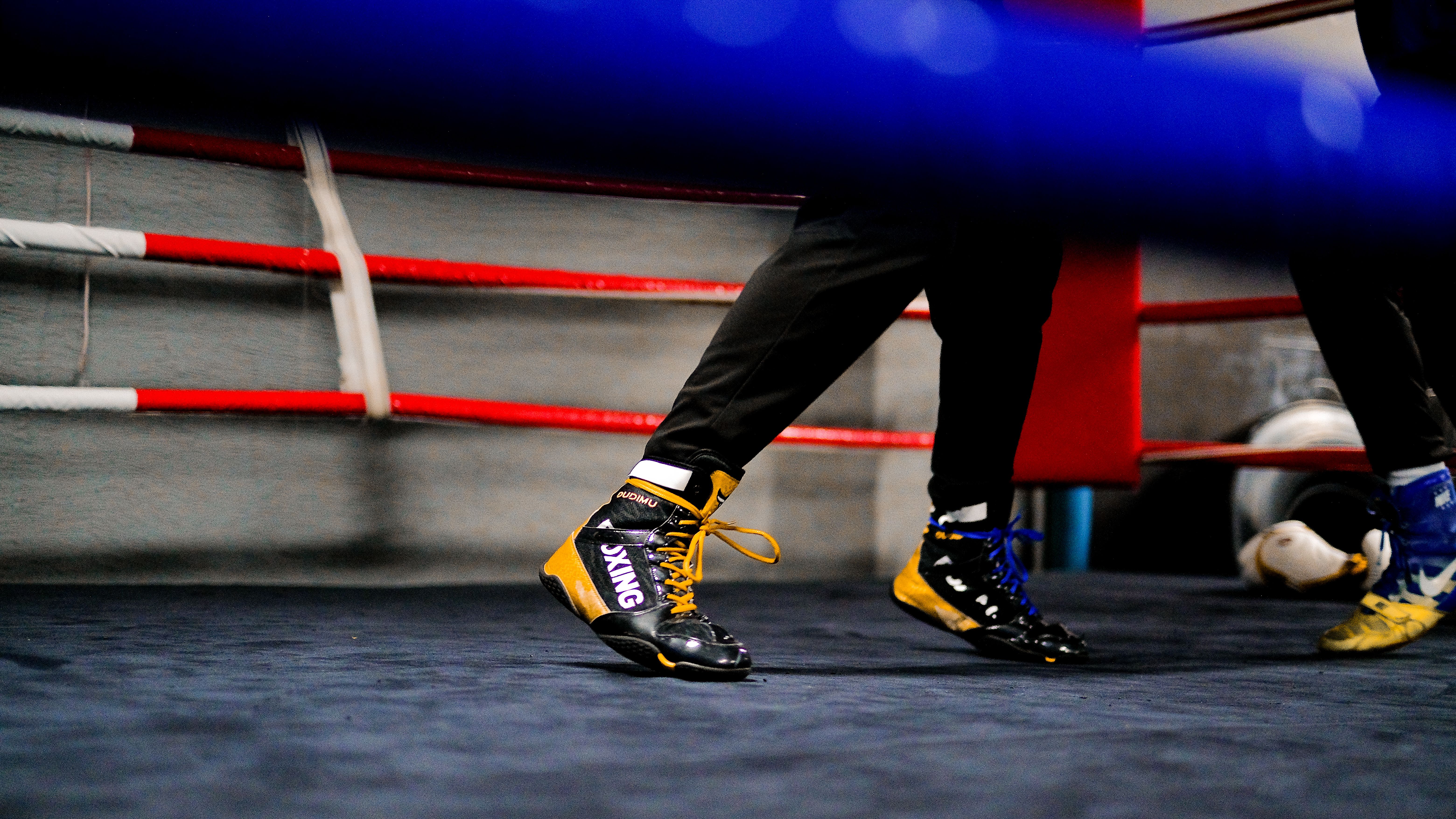 Boxers in Action Inside the Ring · Free Stock Photo
