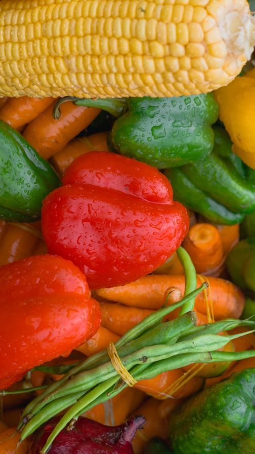Free Colorful collection of fresh vegetables including corn, peppers, and carrots. Stock Photo
