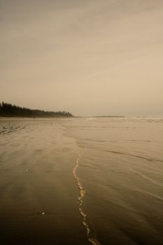 Tranquil sandy beach in Tofino, BC with serene ocean waves under a cloudy sky.