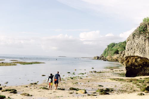 Free stock photo of beach, destination, fun