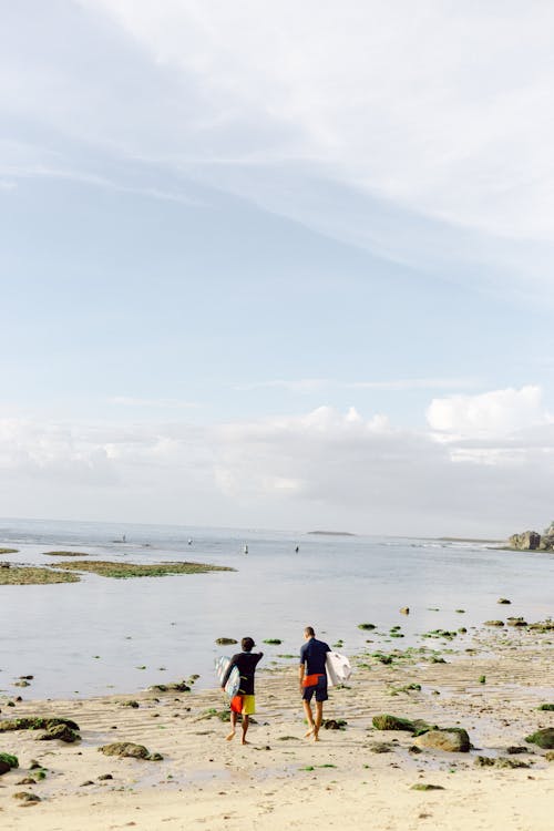 Free stock photo of beach, destination, fun