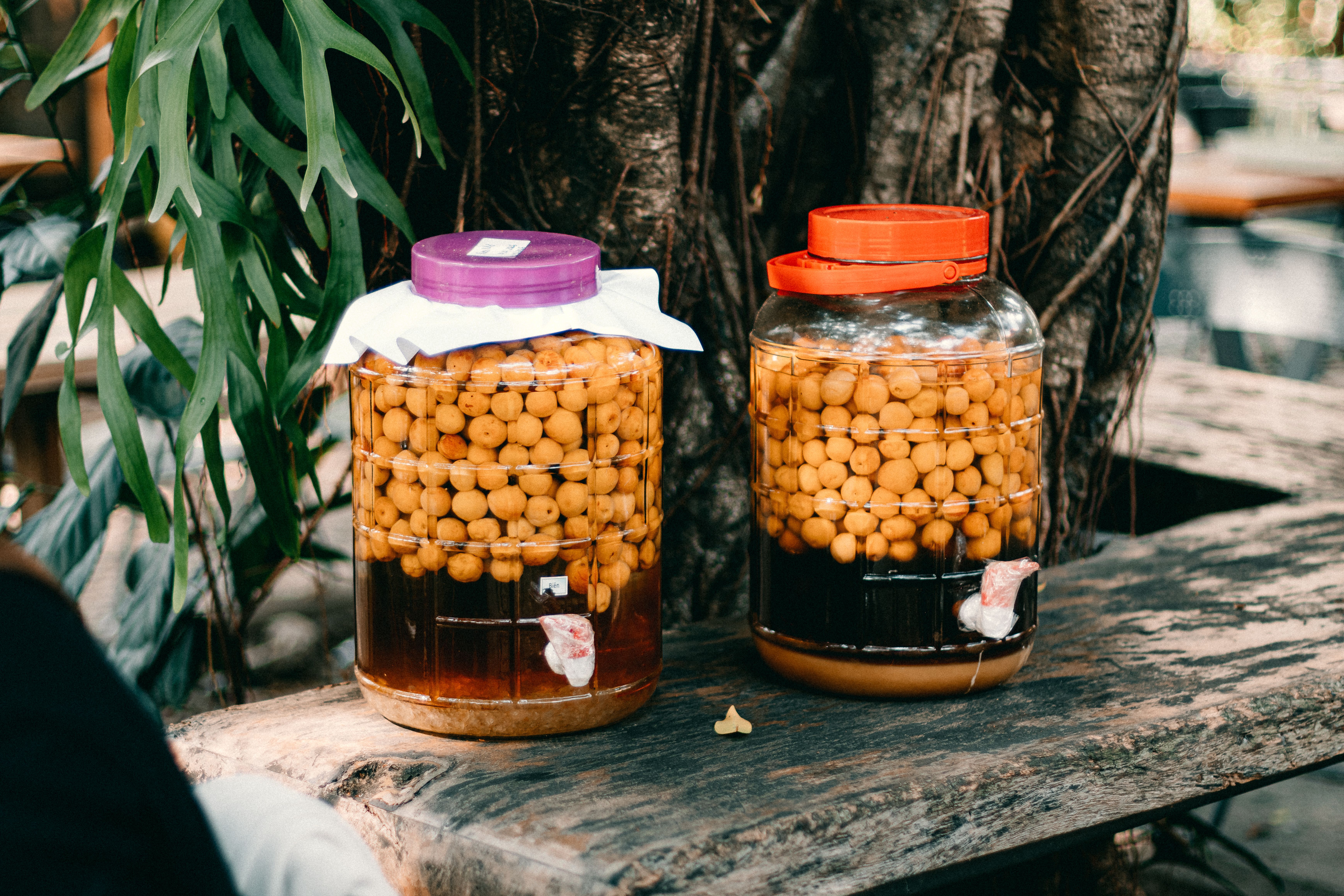 Les Bienfaits des Légumes Fermentés pour Votre Santé