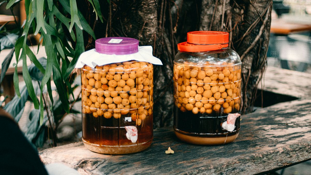 Boissons fermentées maison kéfir kombucha bienfaits