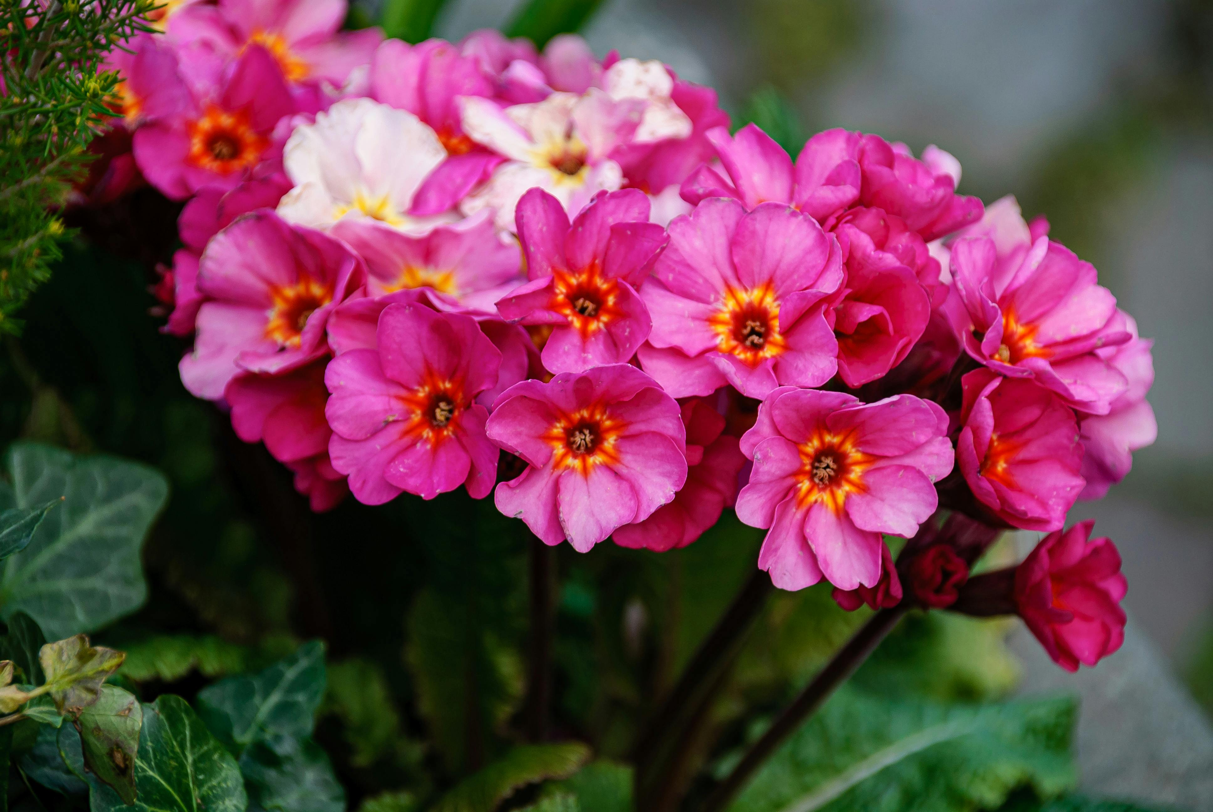 sample-blog-title-placeholder-2