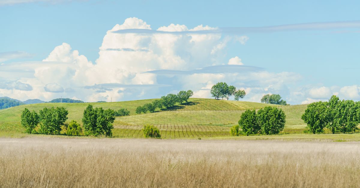 summer landscape with wildflowers - Photo by Robert So on Pexels summer landscape with wildflowers - Photo by Robert So on Pexels