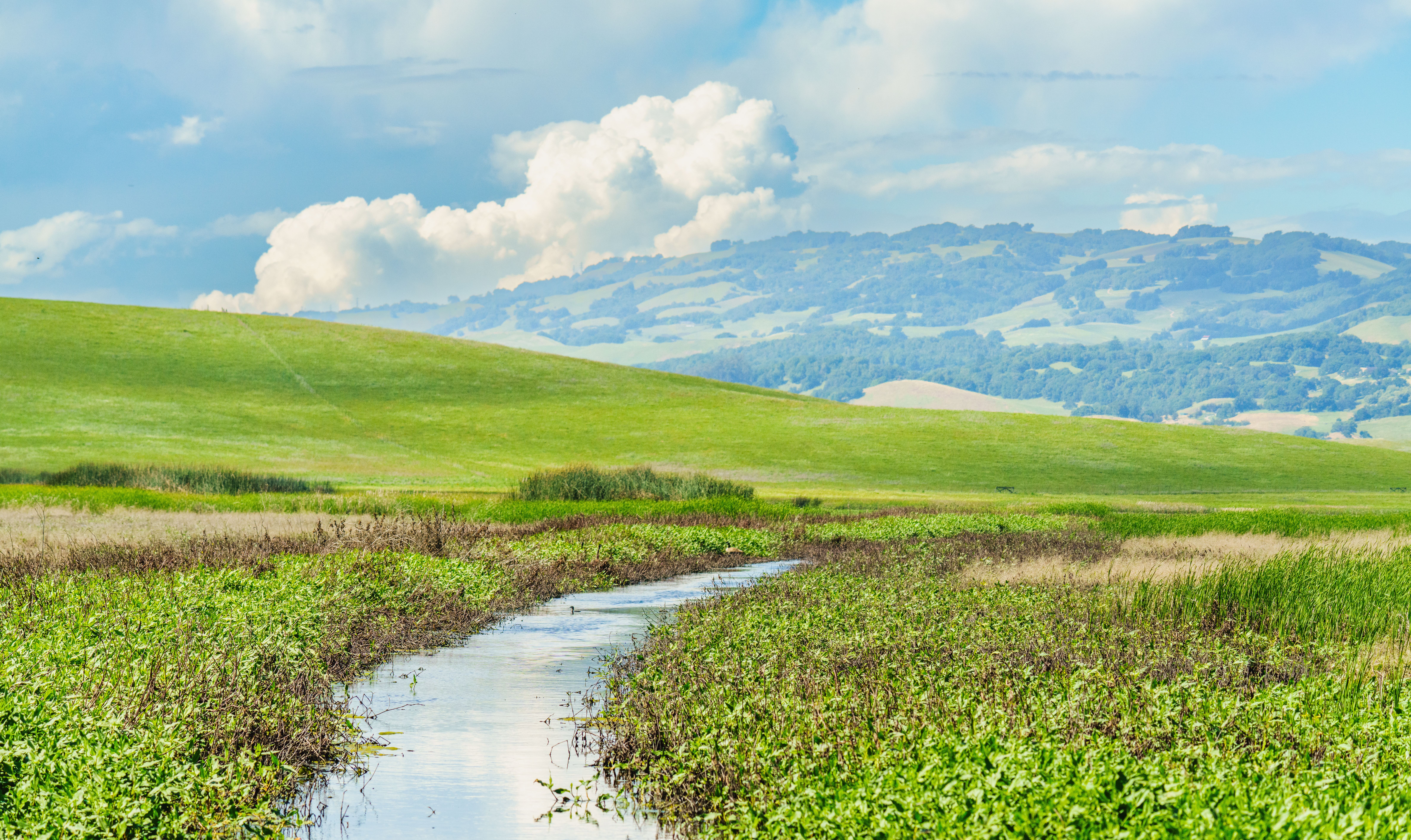 Serene Landscape with Flowing Stream and Rolling Hills · Free Stock Photo