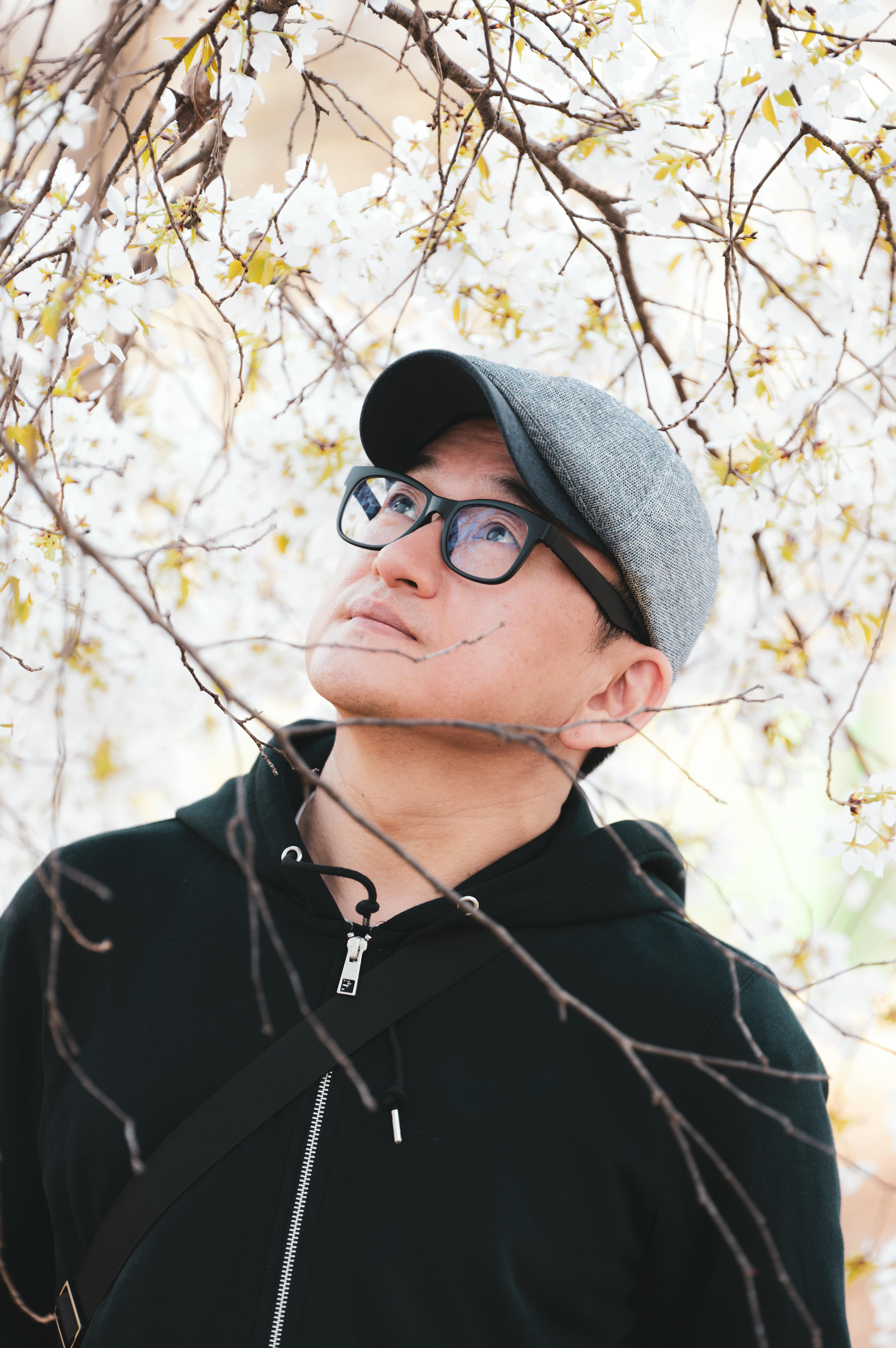 Man wearing glasses and cap admiring cherry blossoms. Sunglasses, serene expression, outdoors.