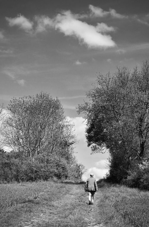Free A solitary figure walks along a rural path framed by trees under a cloudy sky. Stock Photo