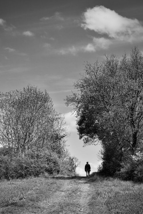 Free Dramatic black and white landscape with a solitary figure walking down a forest path under a cloudy sky. Stock Photo
