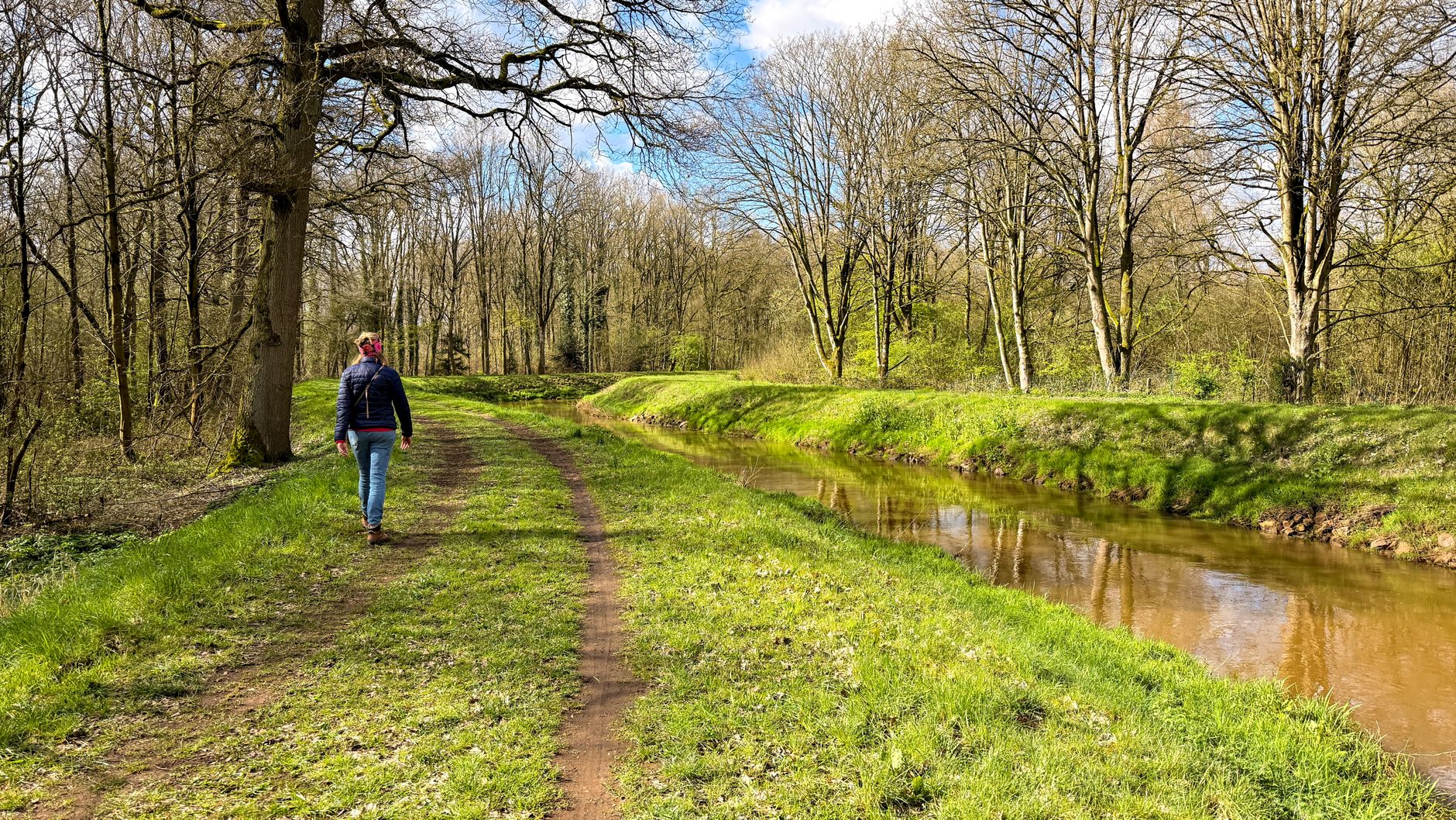 Wandelpad langs een bosbeek in Hulshout, België