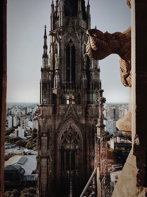 Darmowe zdjęcie z galerii z argentyna, katedra, miasto