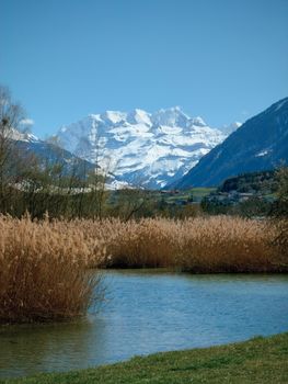 Friedliches Wunderschön & Friedlich – Naturmotiv als Hintergrundbild