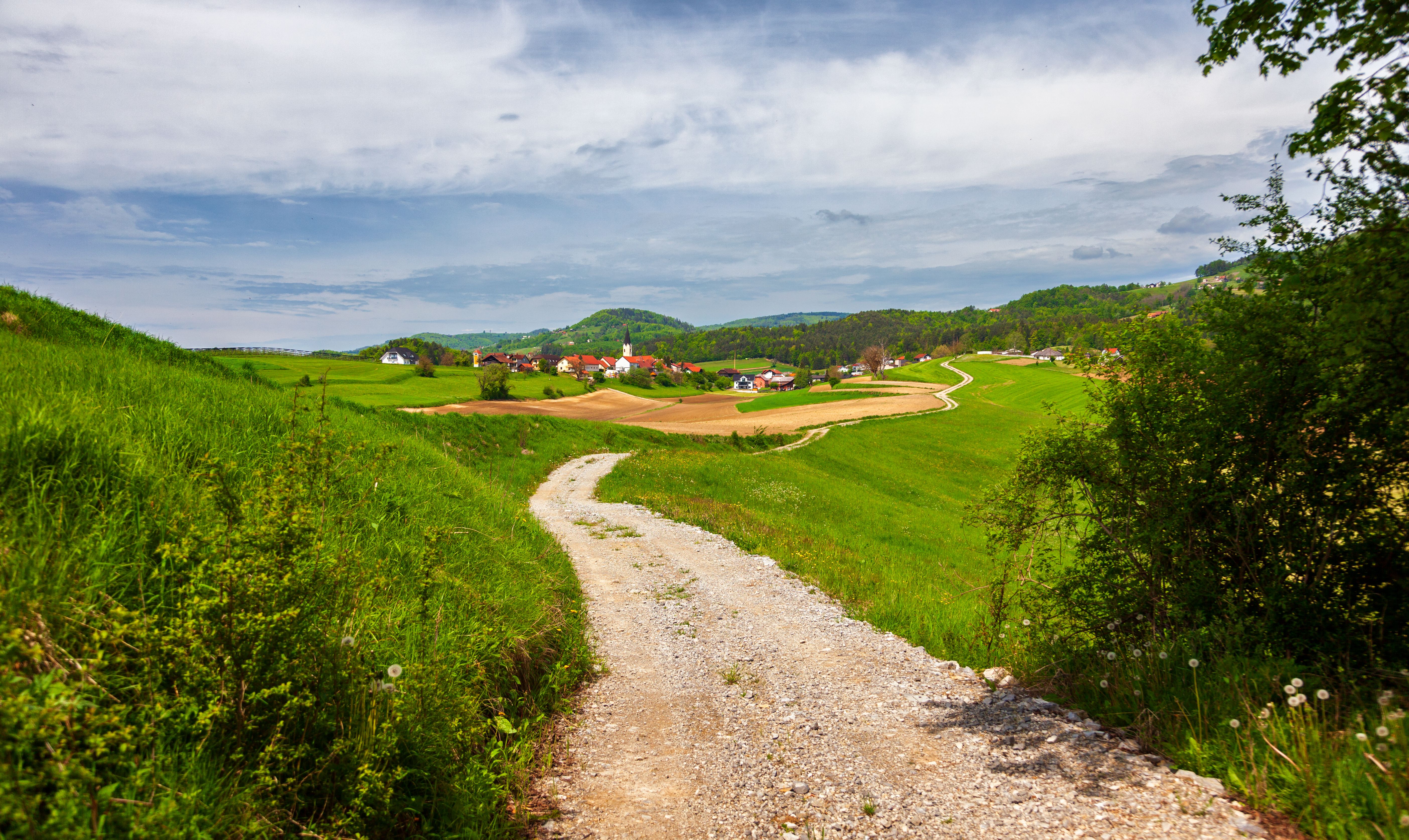 Scenic Slovenian Countryside with Gravel Path · Free Stock Photo