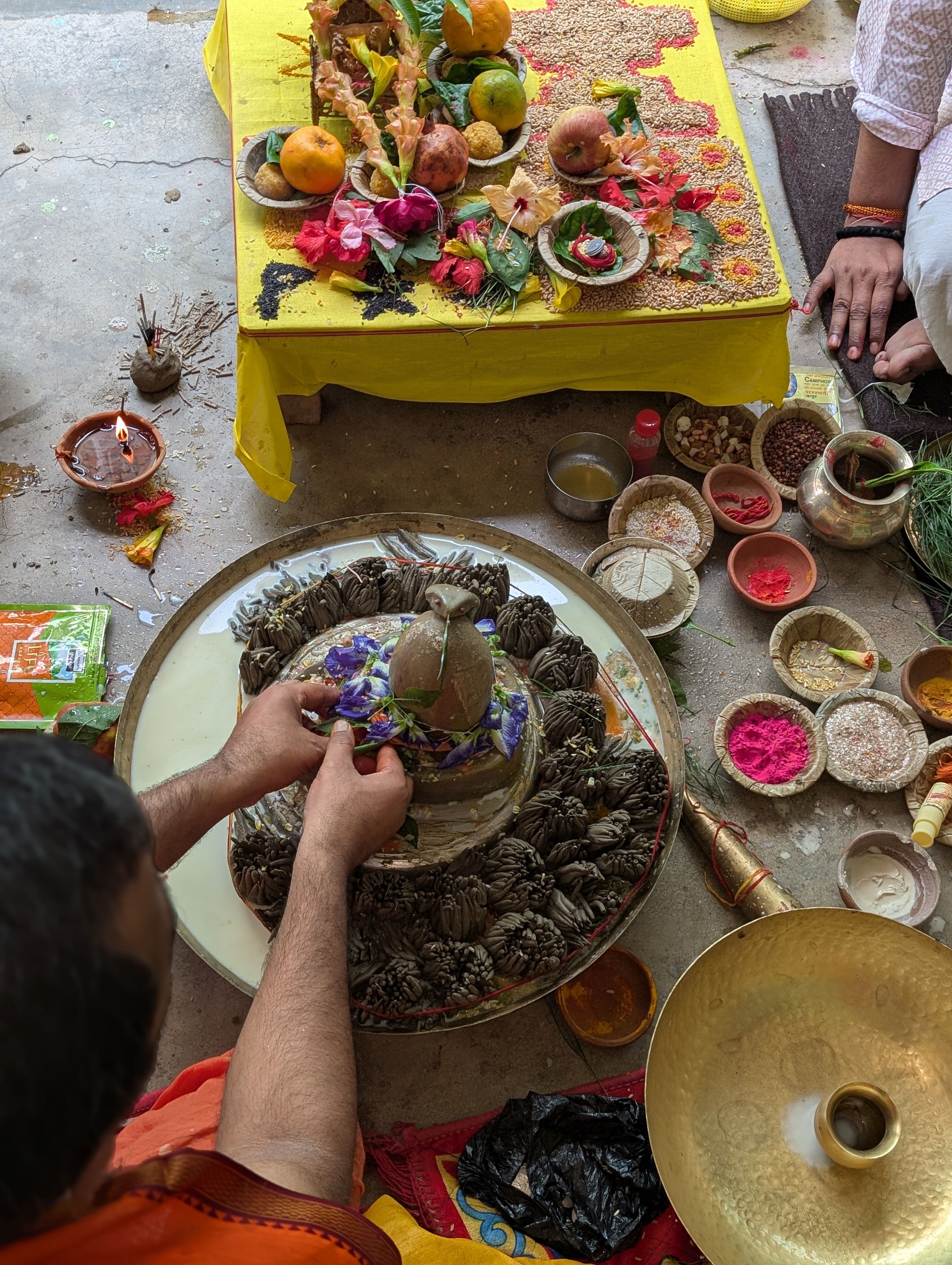 Traditional Hindu Ritual Ceremony in Progress · Free Stock Photo
