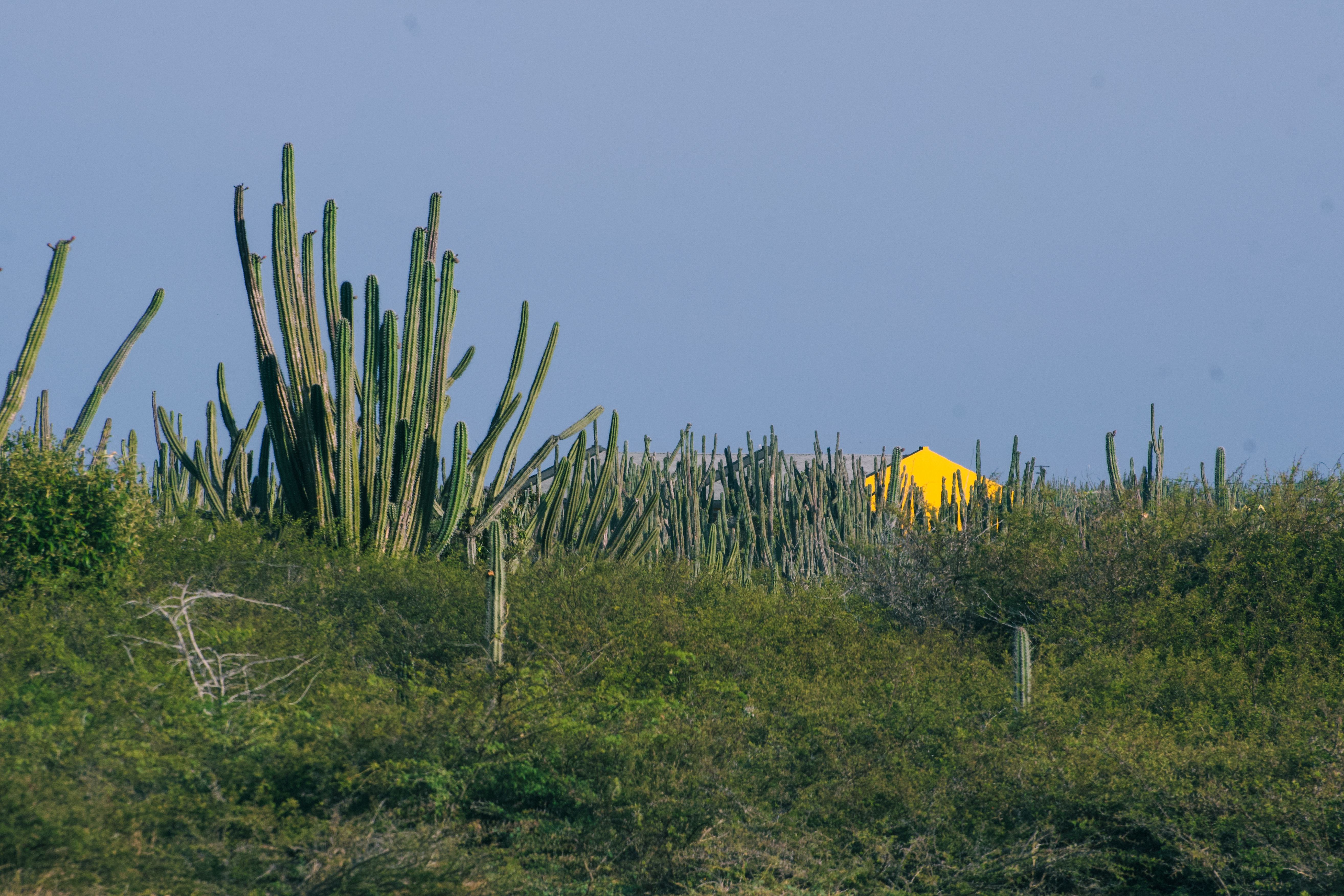 Best Beach Areas in Aruba — Aruba travel guide photo