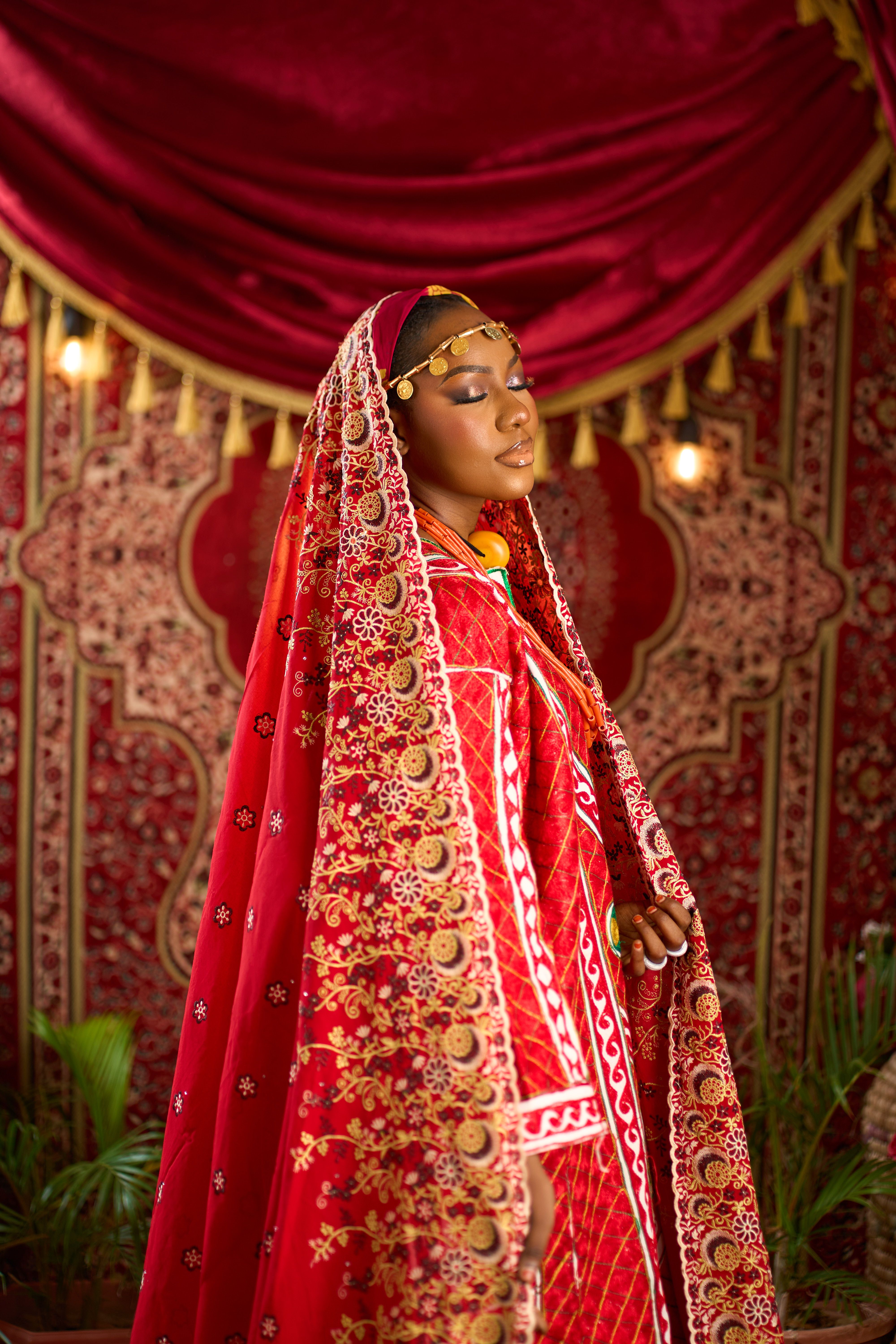 Elegant portrait of a woman in traditional Nigerian attire, showcasing detailed embroidery.