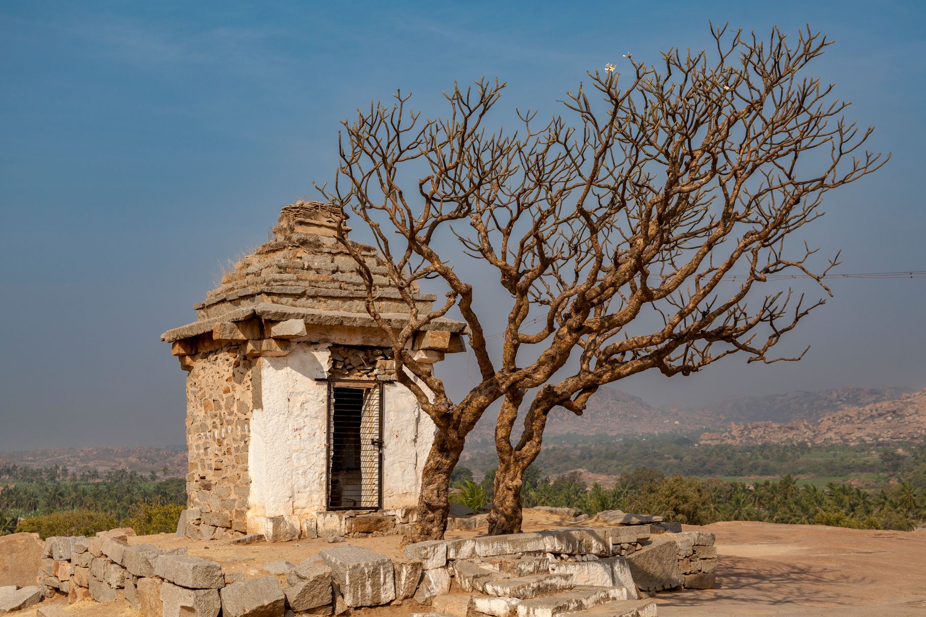 Local Weaver's Den