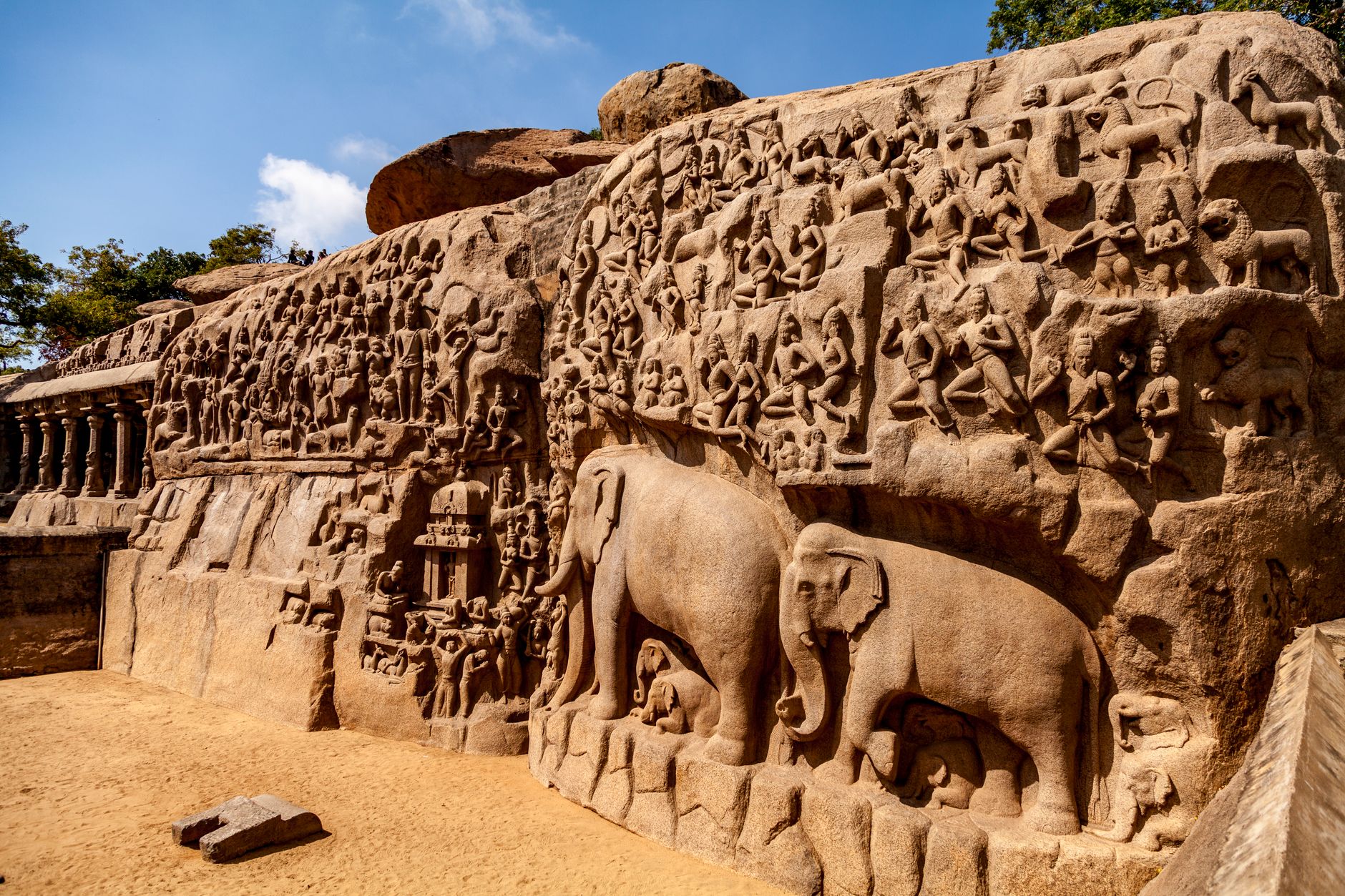 Echoes of the Unheard: Unearthing Untold Stories from Indian History