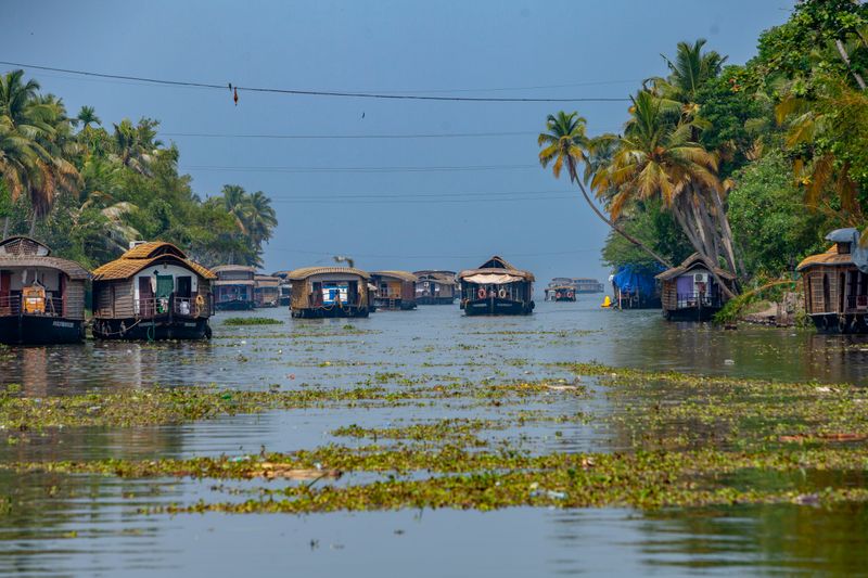 Kerala Backwaters & Hill Stations Gallery 3