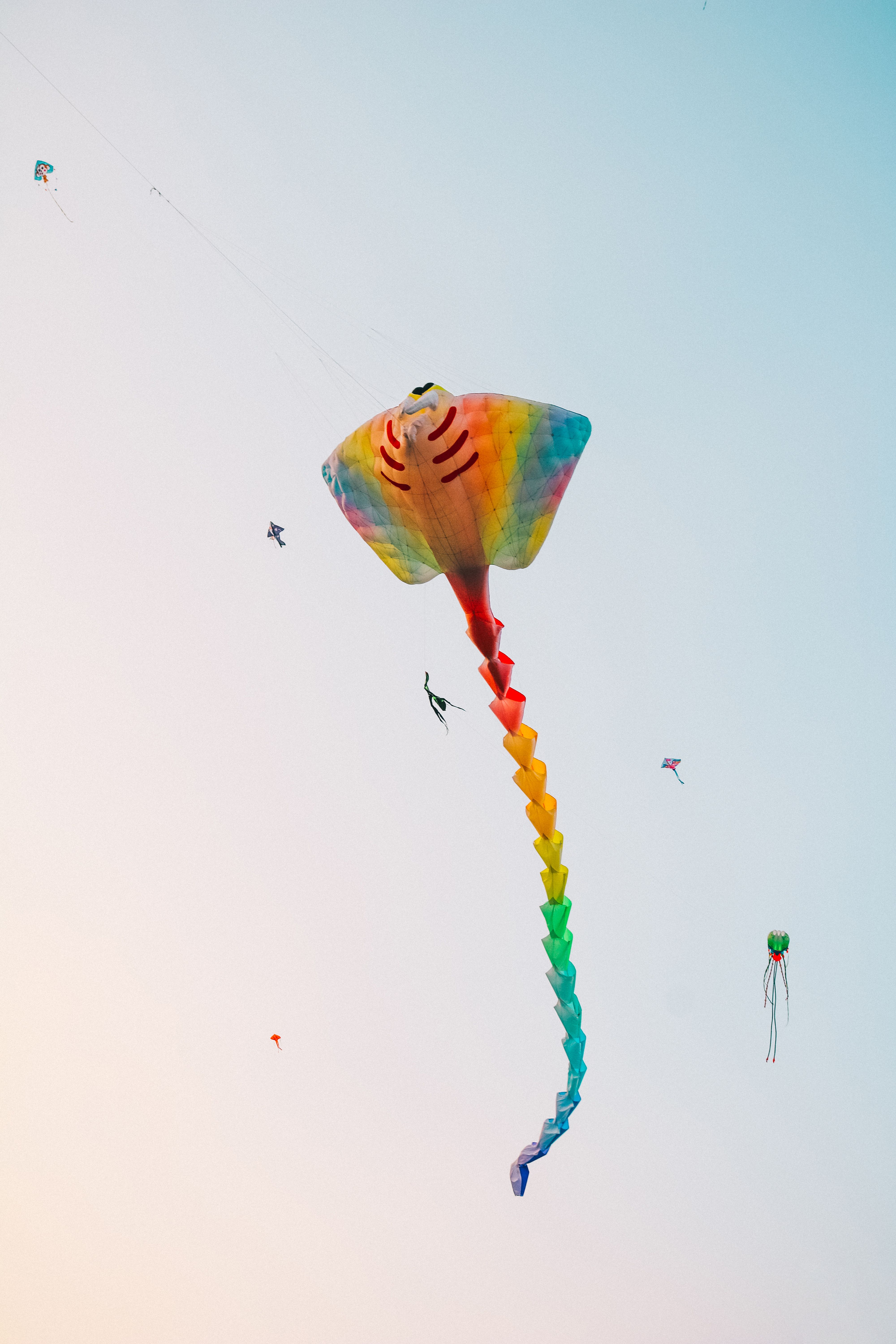 Colorful Kites Flying High in Vietnam Sky · Free Stock Photo