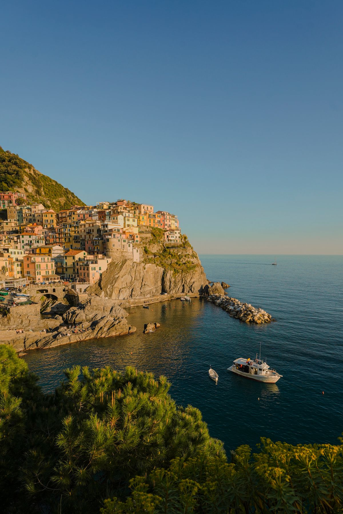 Manarola's coloured houses above the rocks and sea
