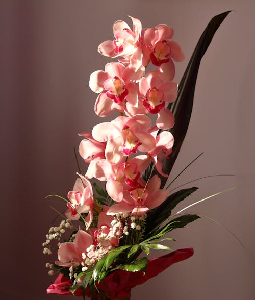 Een Boeket Van Roze Nachtvlinder Orchideeën