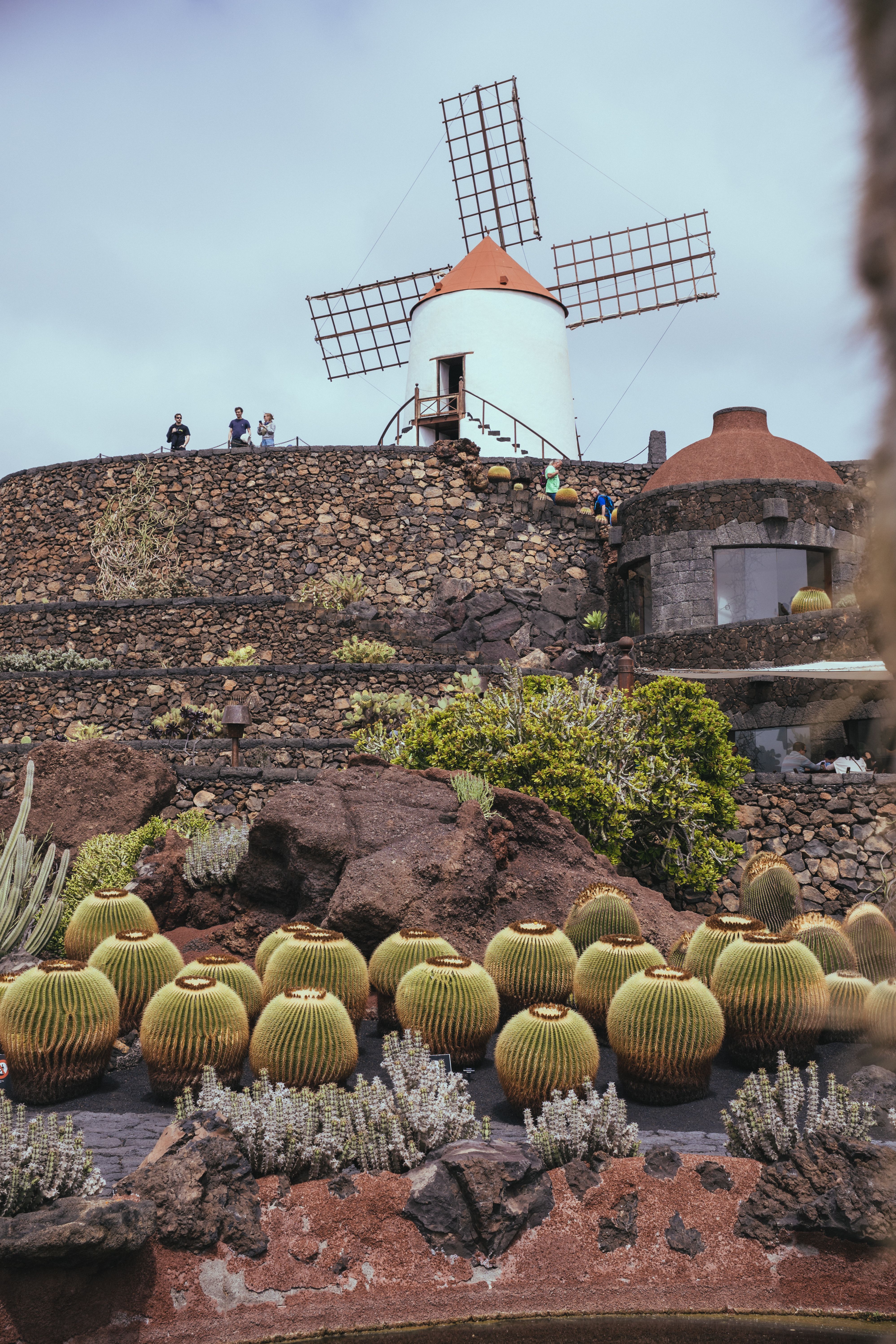 De franc Molí de vent històric envoltat d'un exuberant jardí de cactus al paisatge volcànic únic de Lanzarote. Foto d'estoc