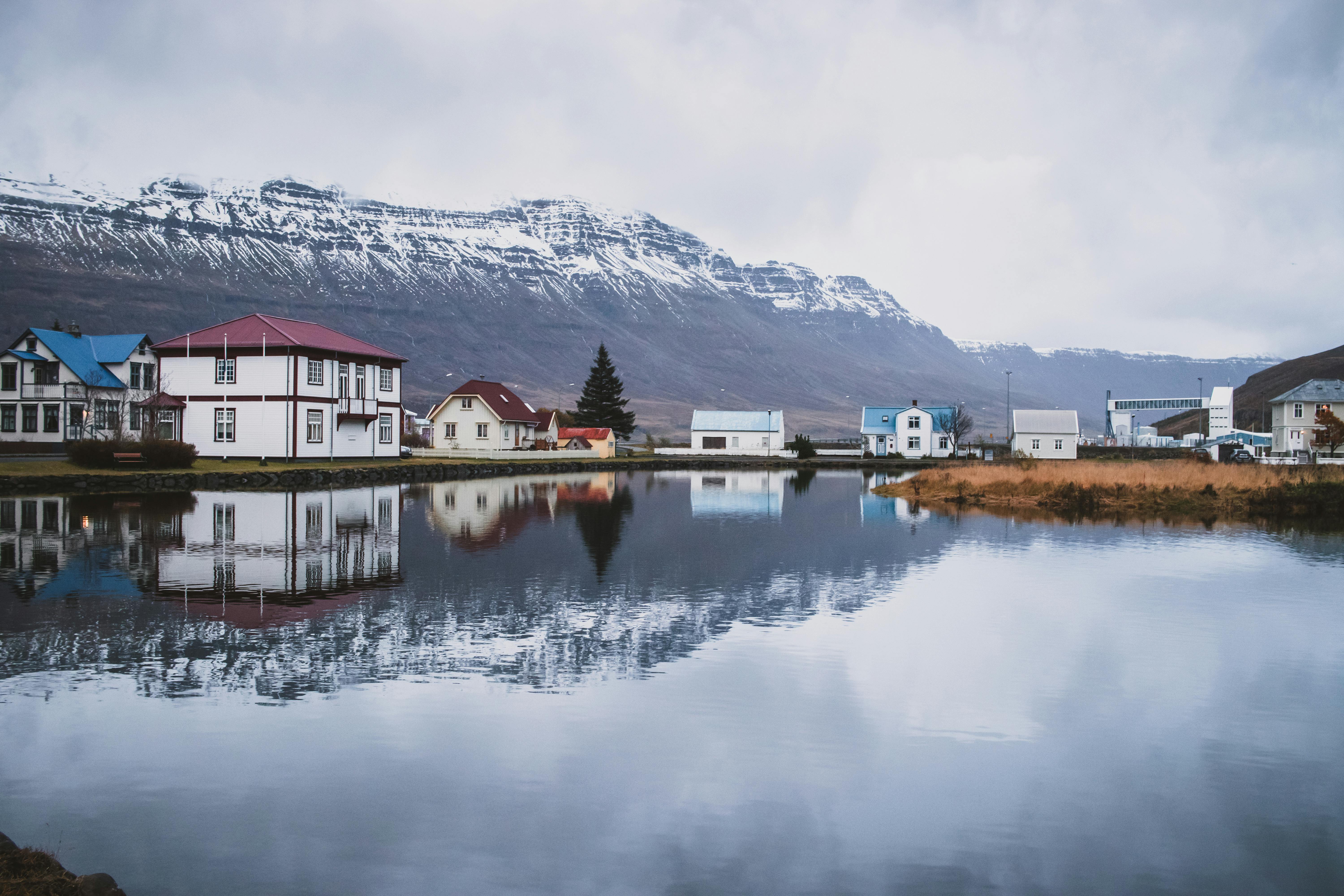 Best Tour Companies in Iceland — Photo by David Hitchcock on Pexels