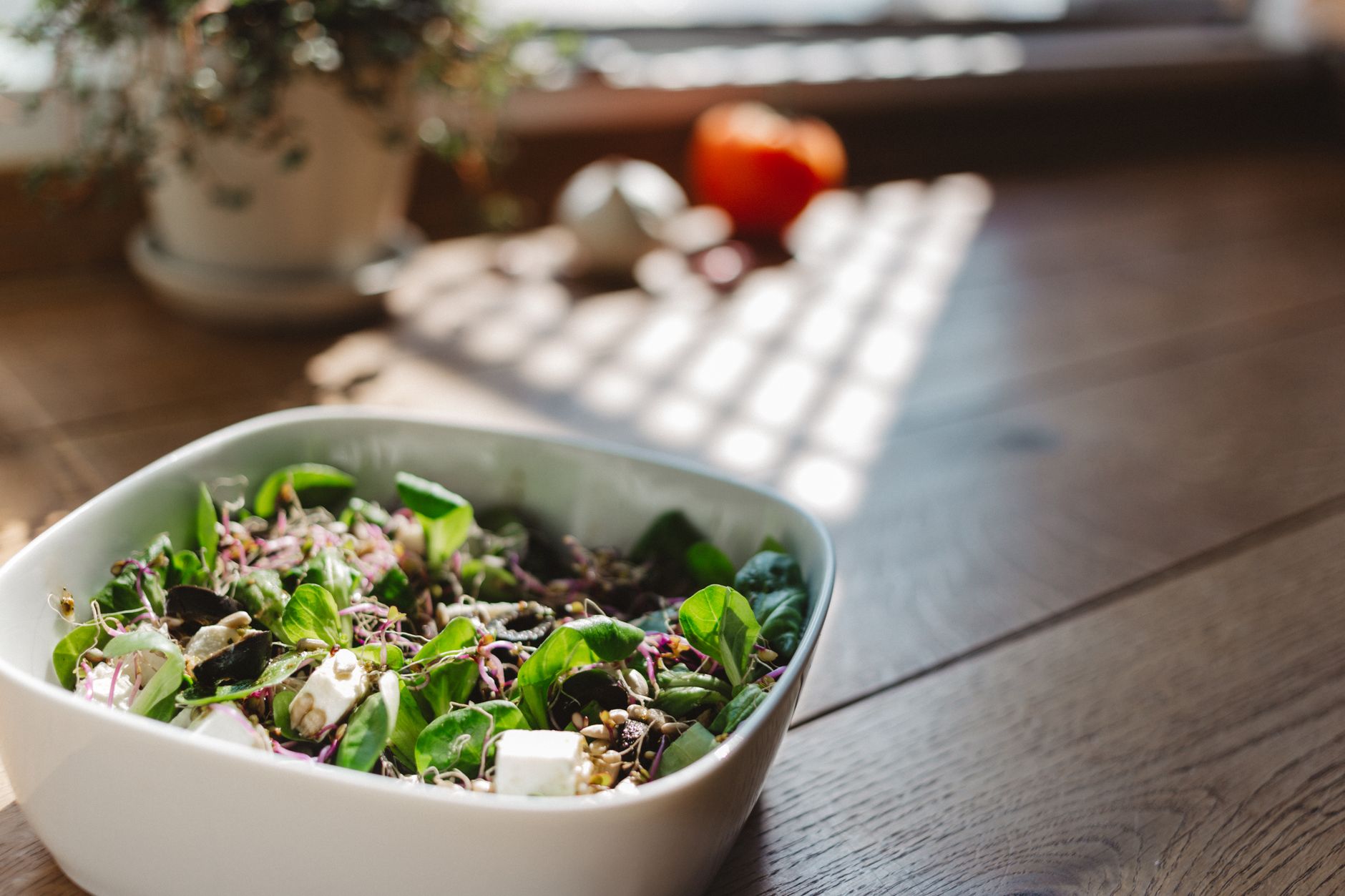 Navigating Nutrition Guidelines: How Harvard, the USDA, and WHO View Your Daily Plate