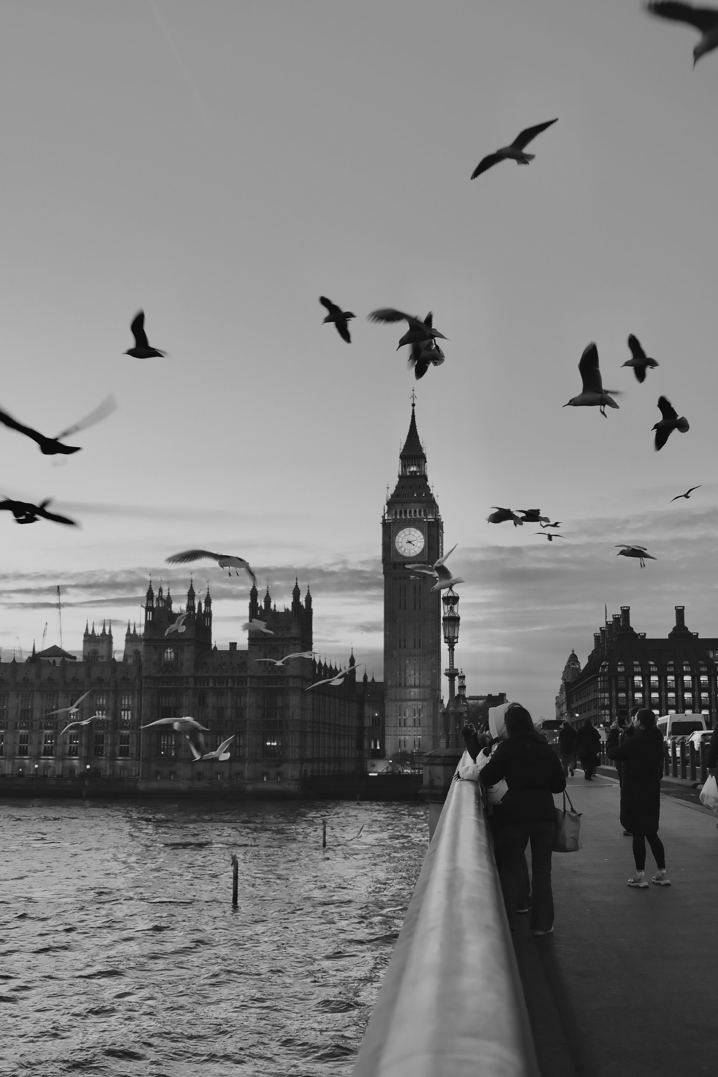 Black and white view of Big Ben with birds above Westminster Bridge during evening in London.