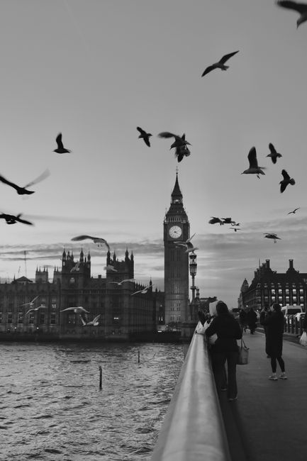 Black and white view of Big Ben with birds above Westminster Bridge during evening in London.