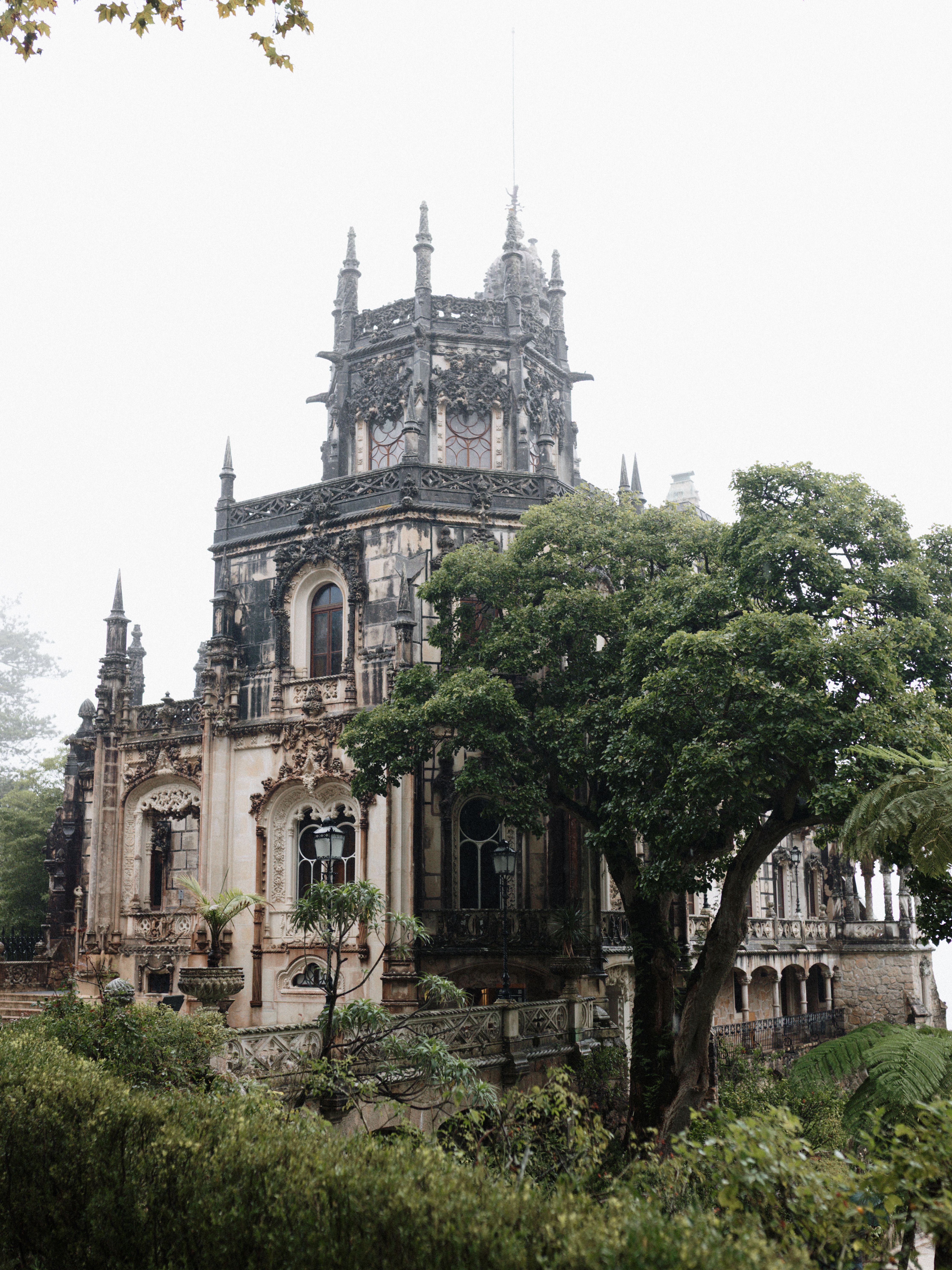 Majestic Gothic Revival Castle Surrounded by Lush Greenery · Free Stock ...