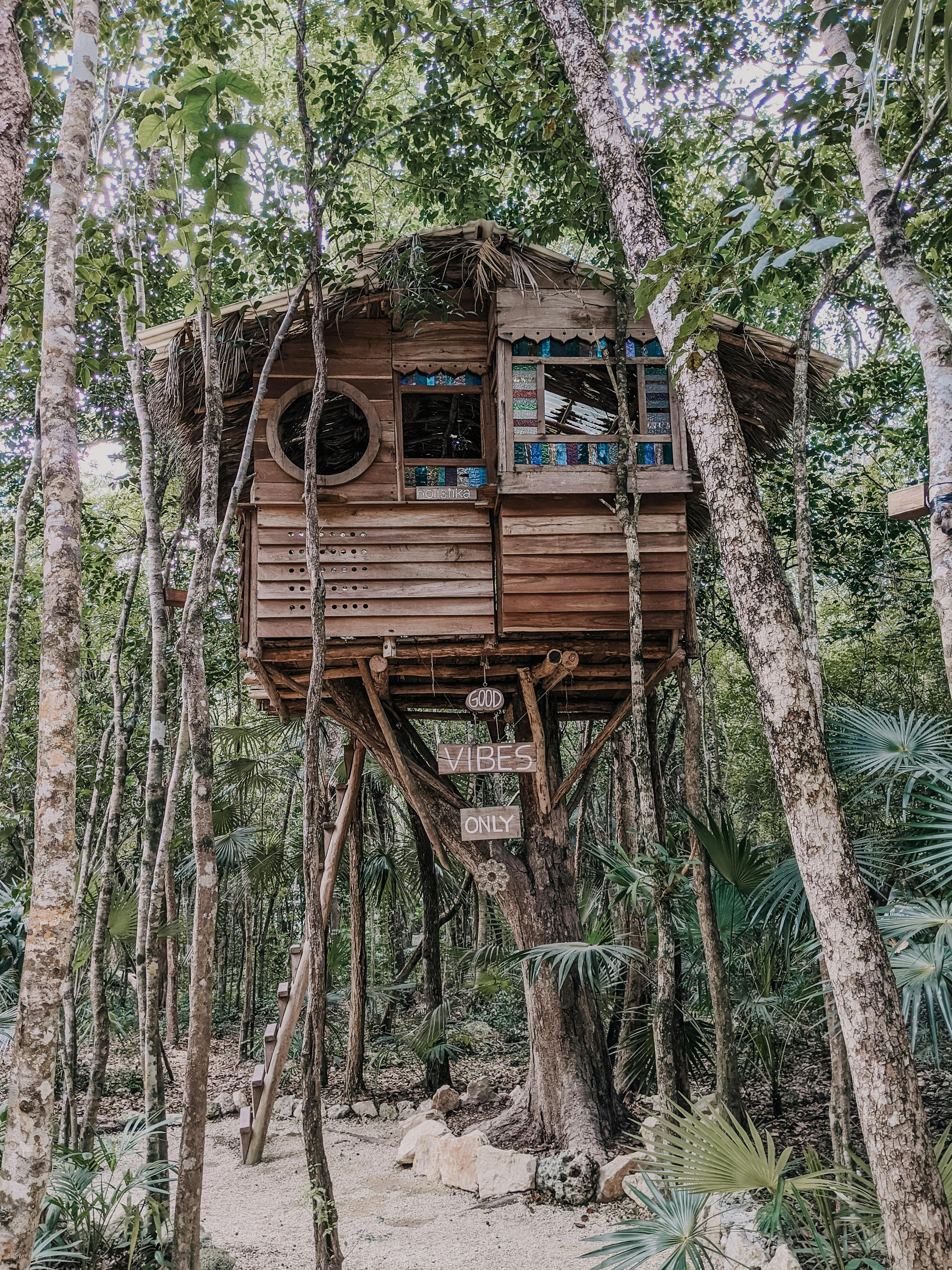 brown wooden treehouse on tree