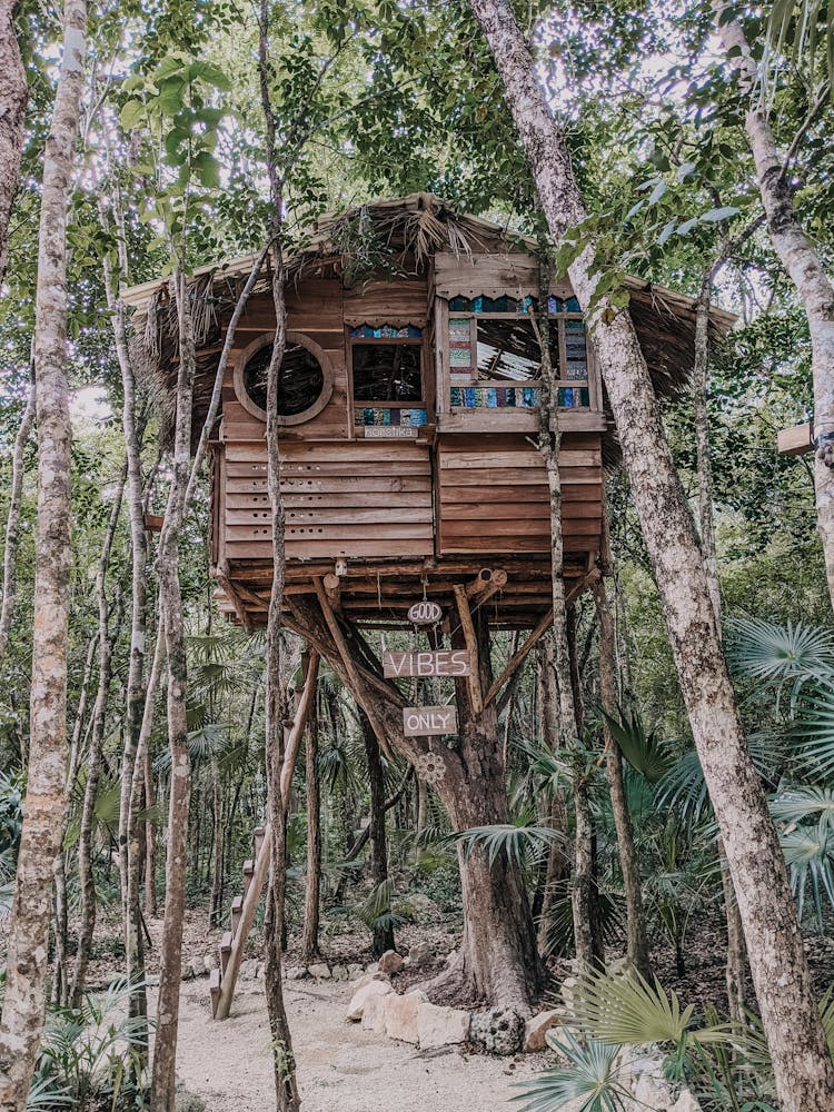 Brown Wooden Treehouse On Tree