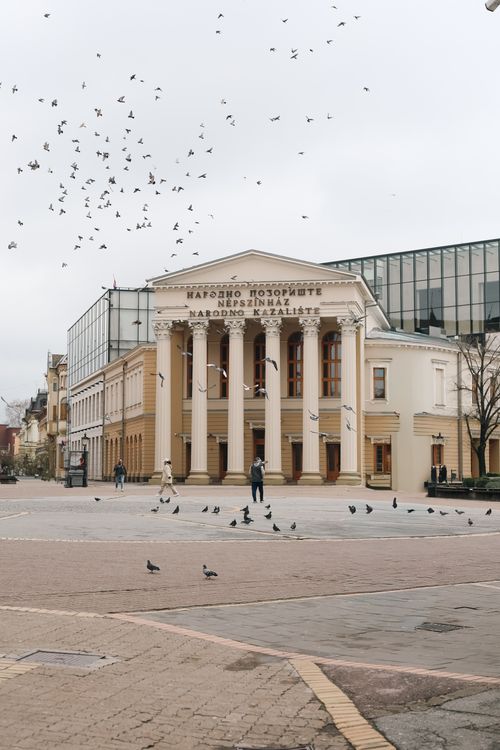Free Pigeons soaring in front of Subotica's National Theatre, Serbia's architectural landmark. Stock Photo