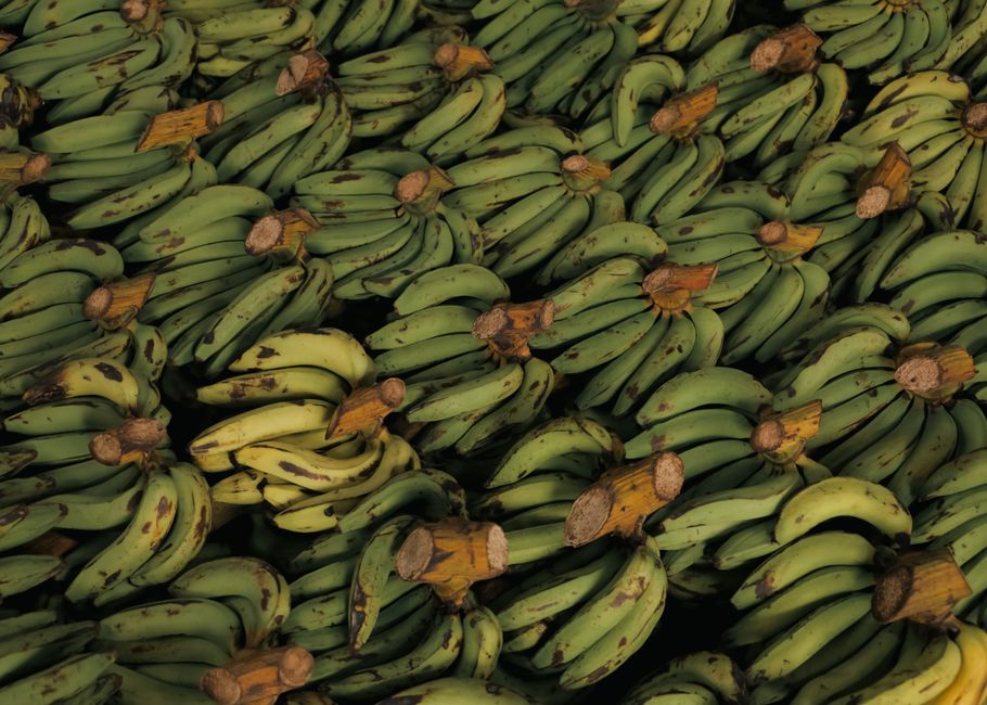 Photo by LekePOV An abundant collection of fresh green bananas, packed closely together. Ideal for food markets or tropical-themed projects.