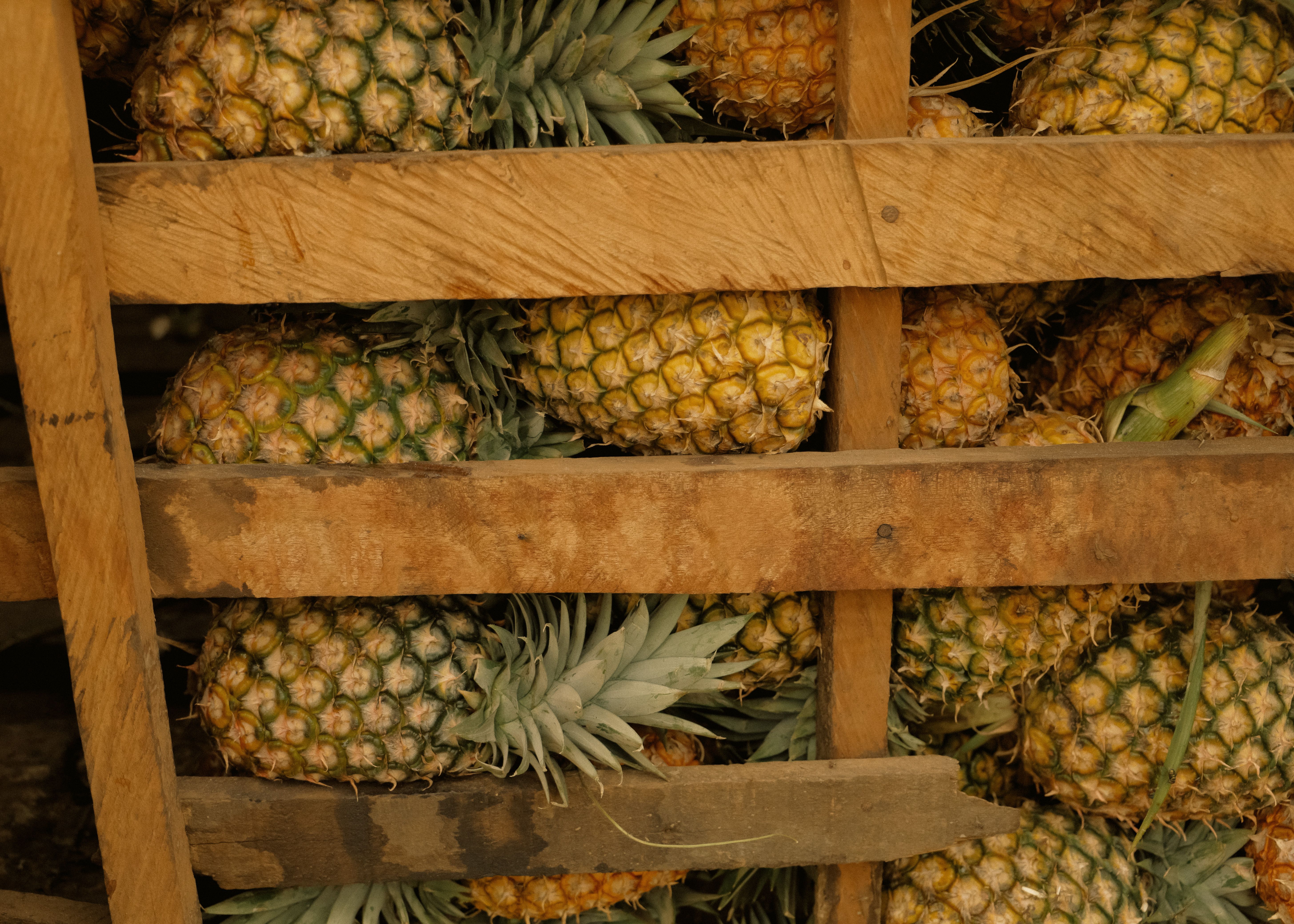 Fresh Pineapples MD2