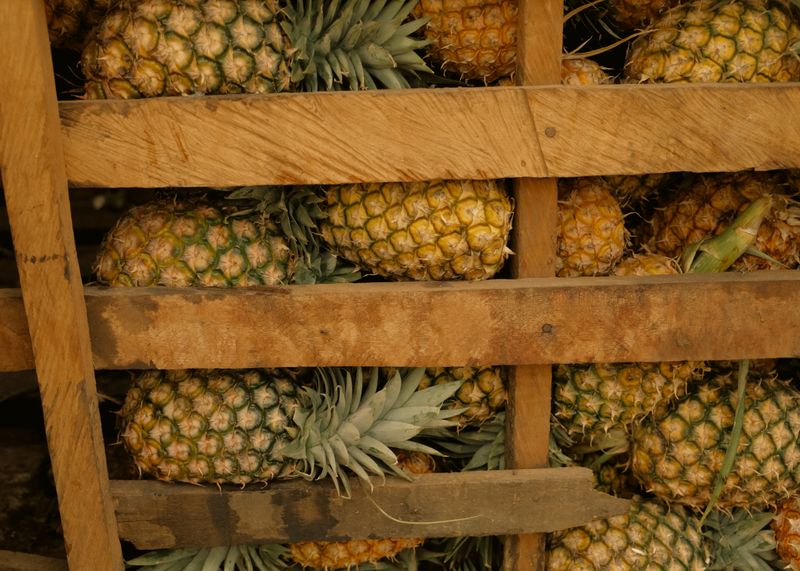 Fresh Pineapples MD2 - Image 1