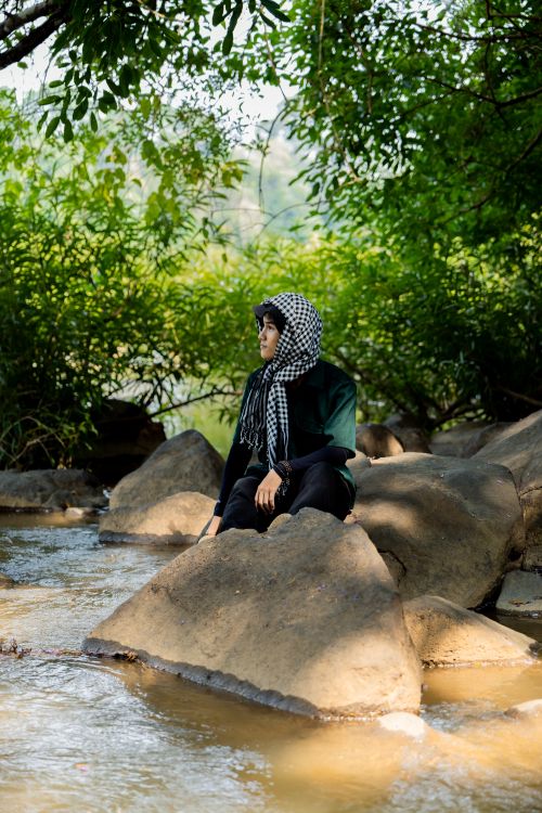 Free Serene moment captured by the stream in Nam Cat Tien, Vietnam. Stock Photo