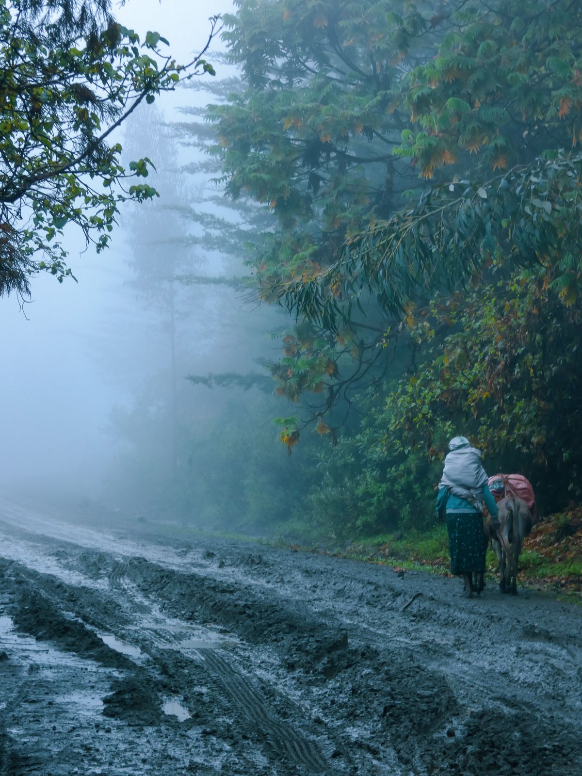 A woman walks a misty path through the Ethiopian highlands