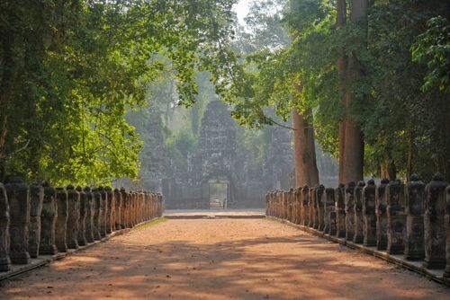 Free Discover the serene beauty of Angkor Wat's ancient stone pathway illuminated by gentle sunlight. Stock Photo