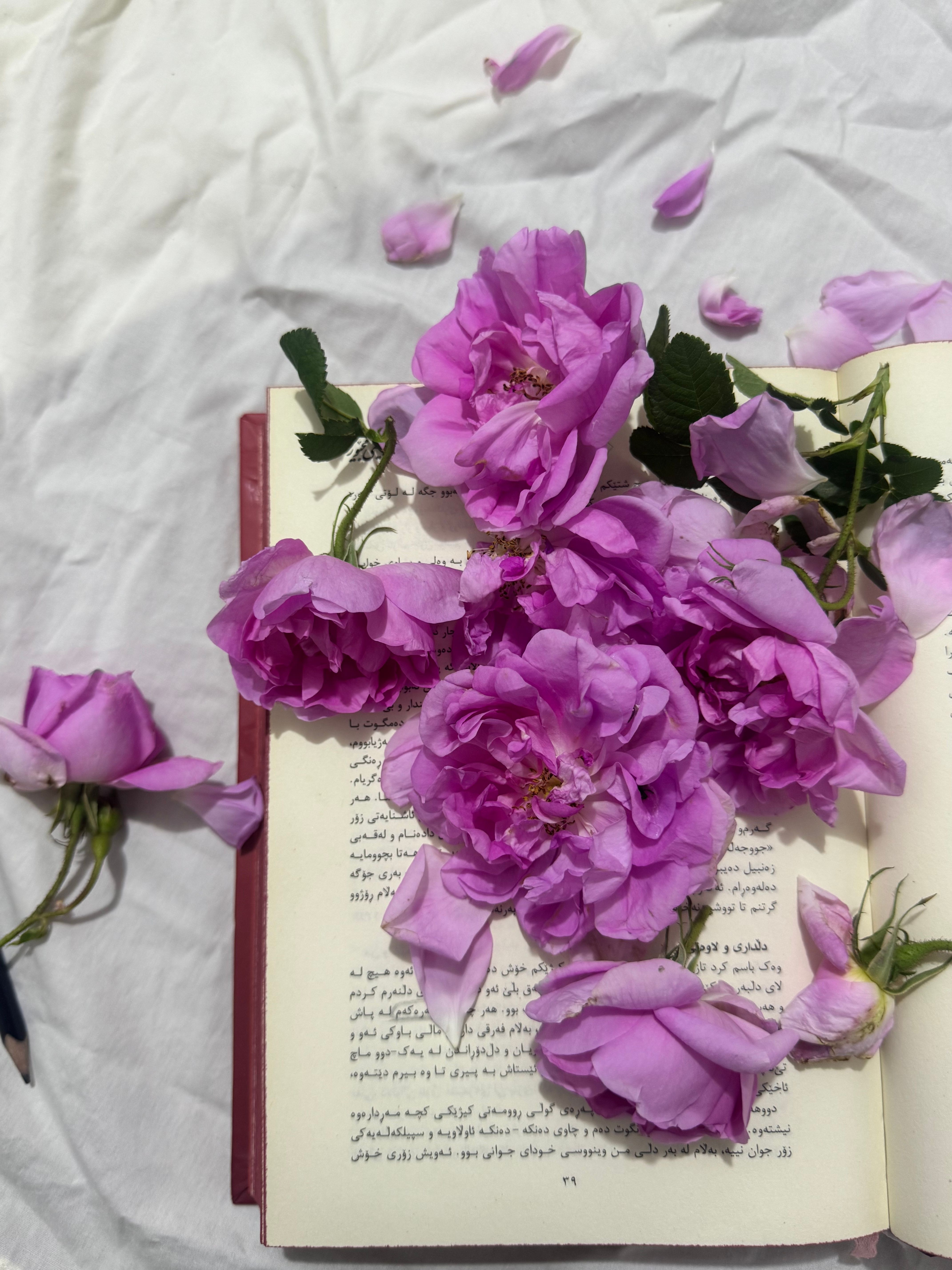 A little poetry, a little heart