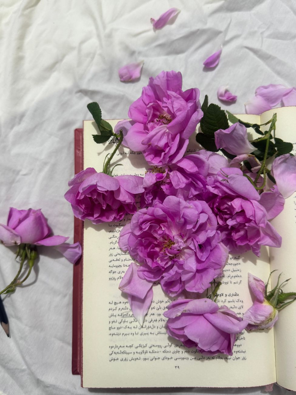 A little poetry, a little heart